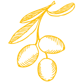 Washington DC Restaurant